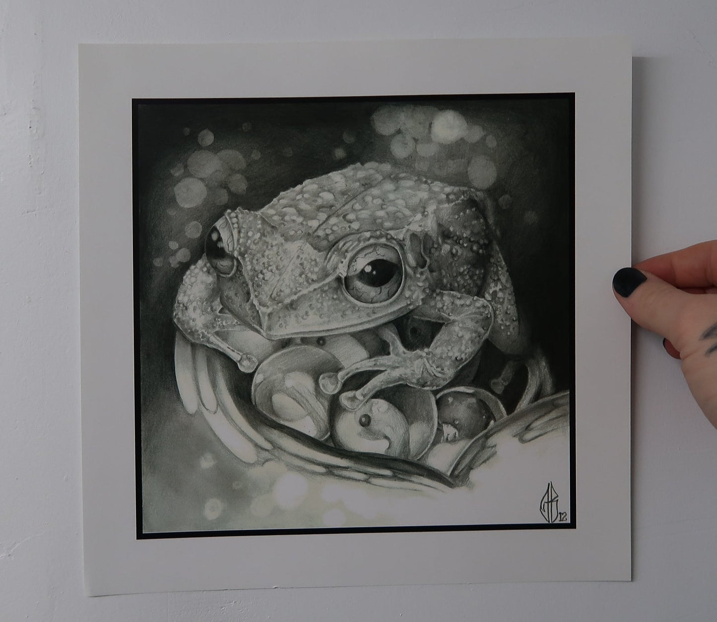 "Coqui" PRINT