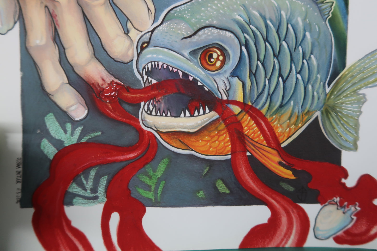 "Piranha" 11"x14" PRINT