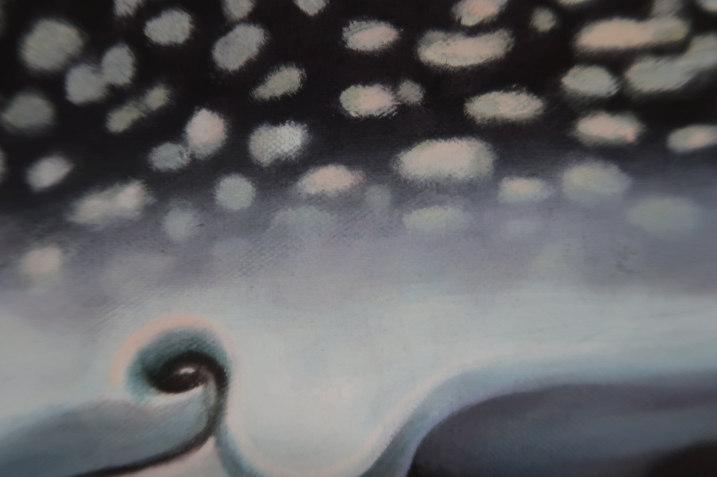 "Whale Shark" LIMITED RUN 12"x30" GICLEE PRINTS