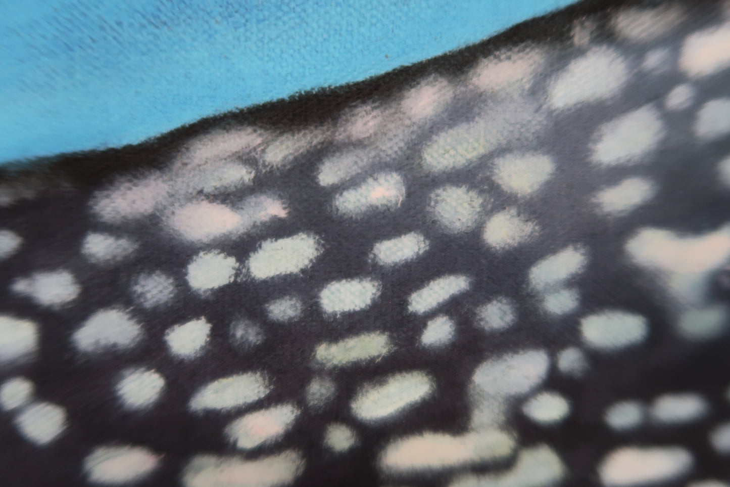 "Whale Shark" LIMITED RUN 12"x30" GICLEE PRINTS
