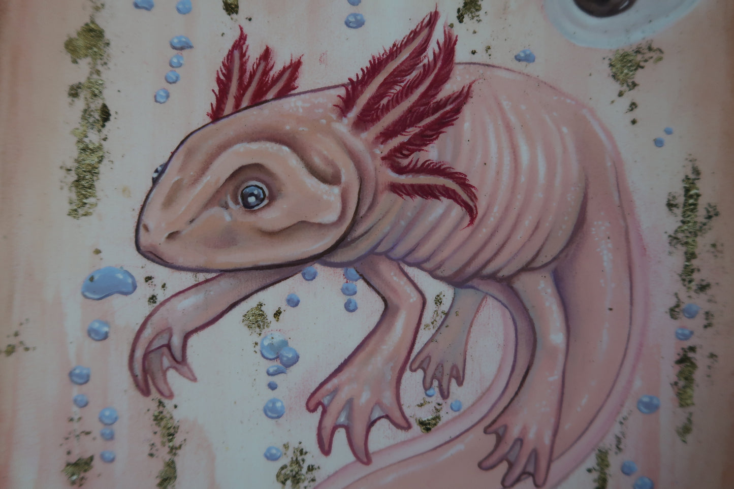 "A Lot of Axol"- 11" x 14" LIMITED RUN GICLEE PRINTS