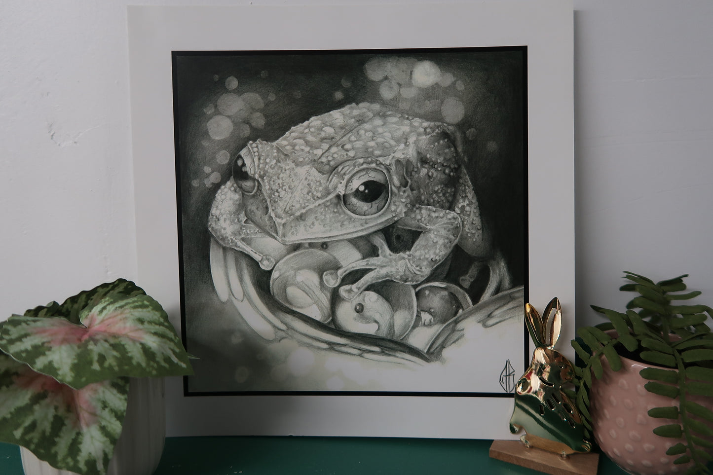 "Coqui" PRINT