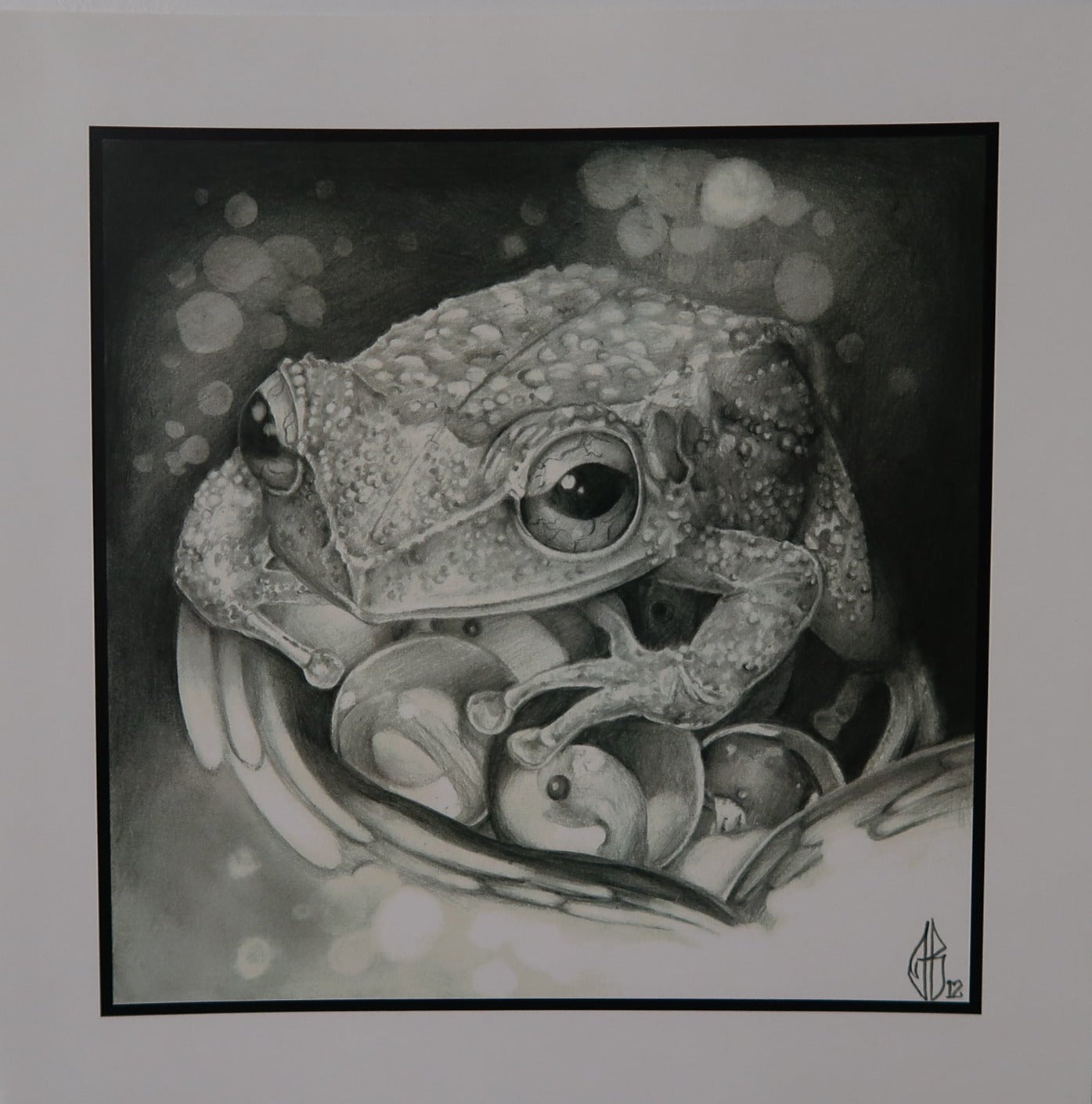 "Coqui" PRINT