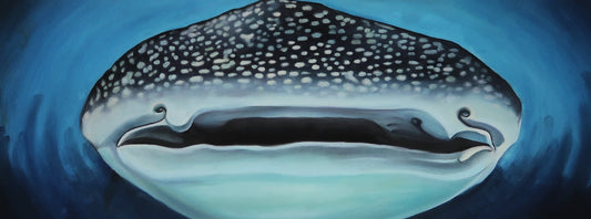 "Whale Shark" LIMITED RUN 12"x30" GICLEE PRINTS
