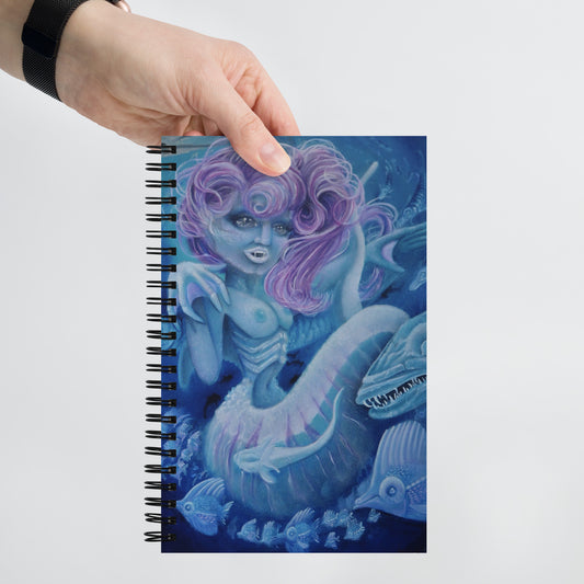 Spiral notebook